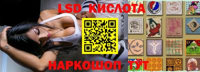 крисы Абакан