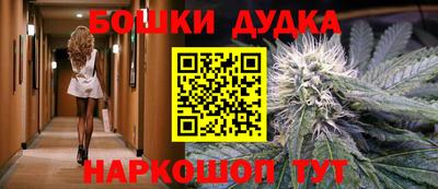 крисы Абакан