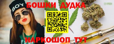 крисы Абакан
