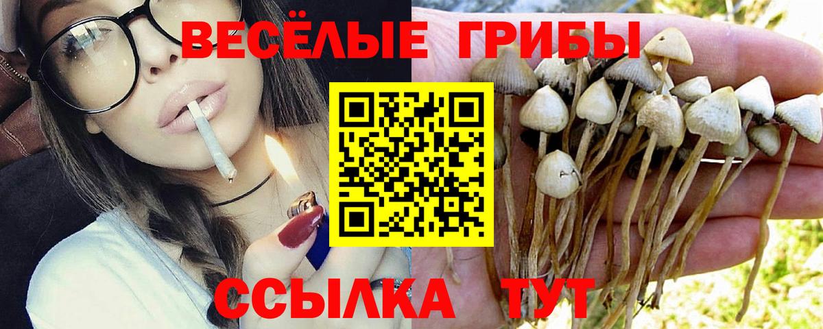 Псилоцибиновые грибы мухоморы Ангарск